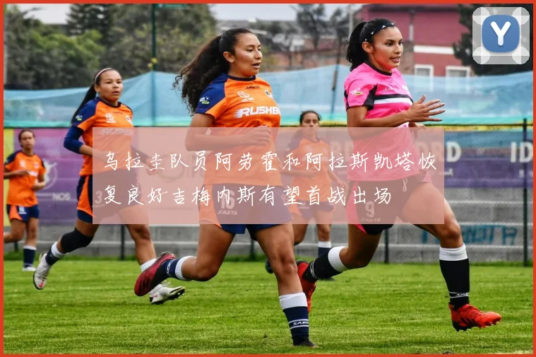 乌拉圭队员阿劳霍和阿拉斯凯塔恢复良好吉梅内斯有望首战出场